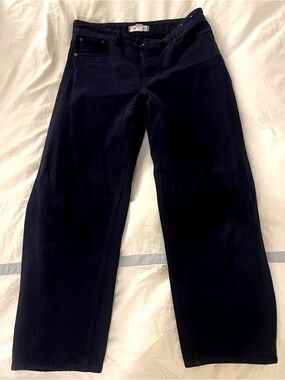 Madewell Darted Barrel Leg Jeans Dark Wash Size 26 High Rise